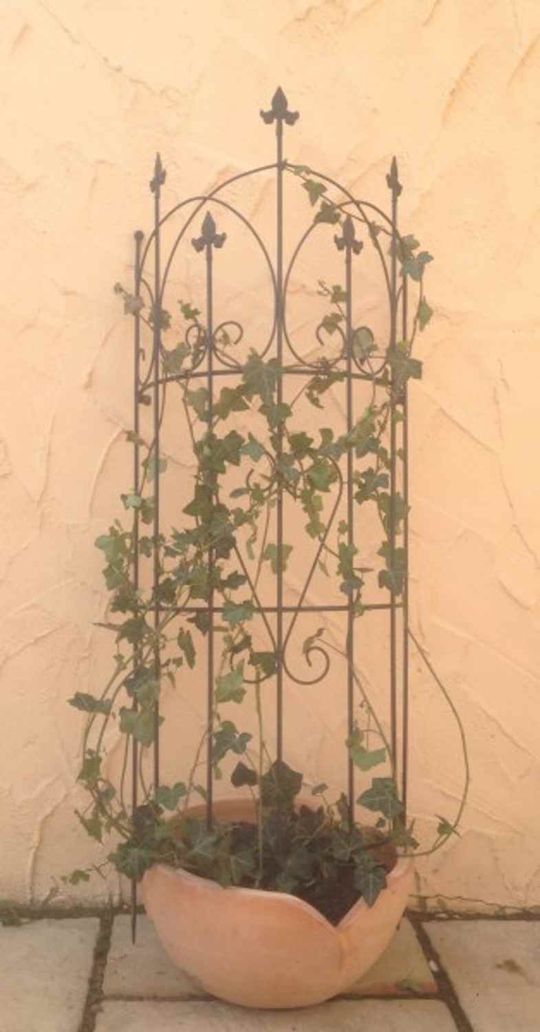 Rankgitter Spalier Rankhilfe Staudenhalter Metall Lucca-M Clematis schwarz 150 Rankgitter Spalier Rankhilfe Staudenhalter Metall Lucca-M Clematis schwarz 150
