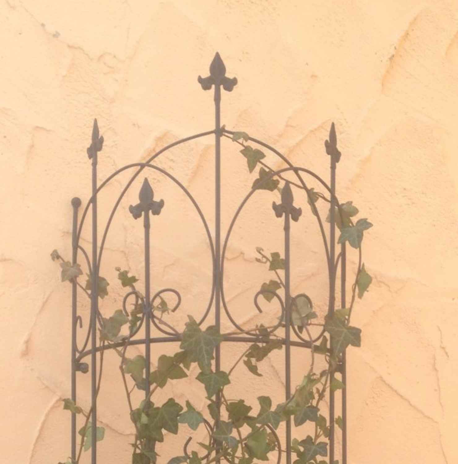 Rankgitter Spalier Rankhilfe Staudenhalter Metall Lucca-M Clematis schwarz 150 Rankgitter Spalier Rankhilfe Staudenhalter Metall Lucca-M Clematis schwarz 150