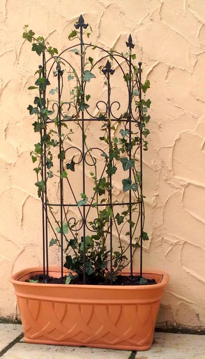 Rankgitter Spalier Rankhilfe Staudenhalter Metall Lucca-M Clematis schwarz 150 Rankgitter Spalier Rankhilfe Staudenhalter Metall Lucca-M Clematis schwarz 150