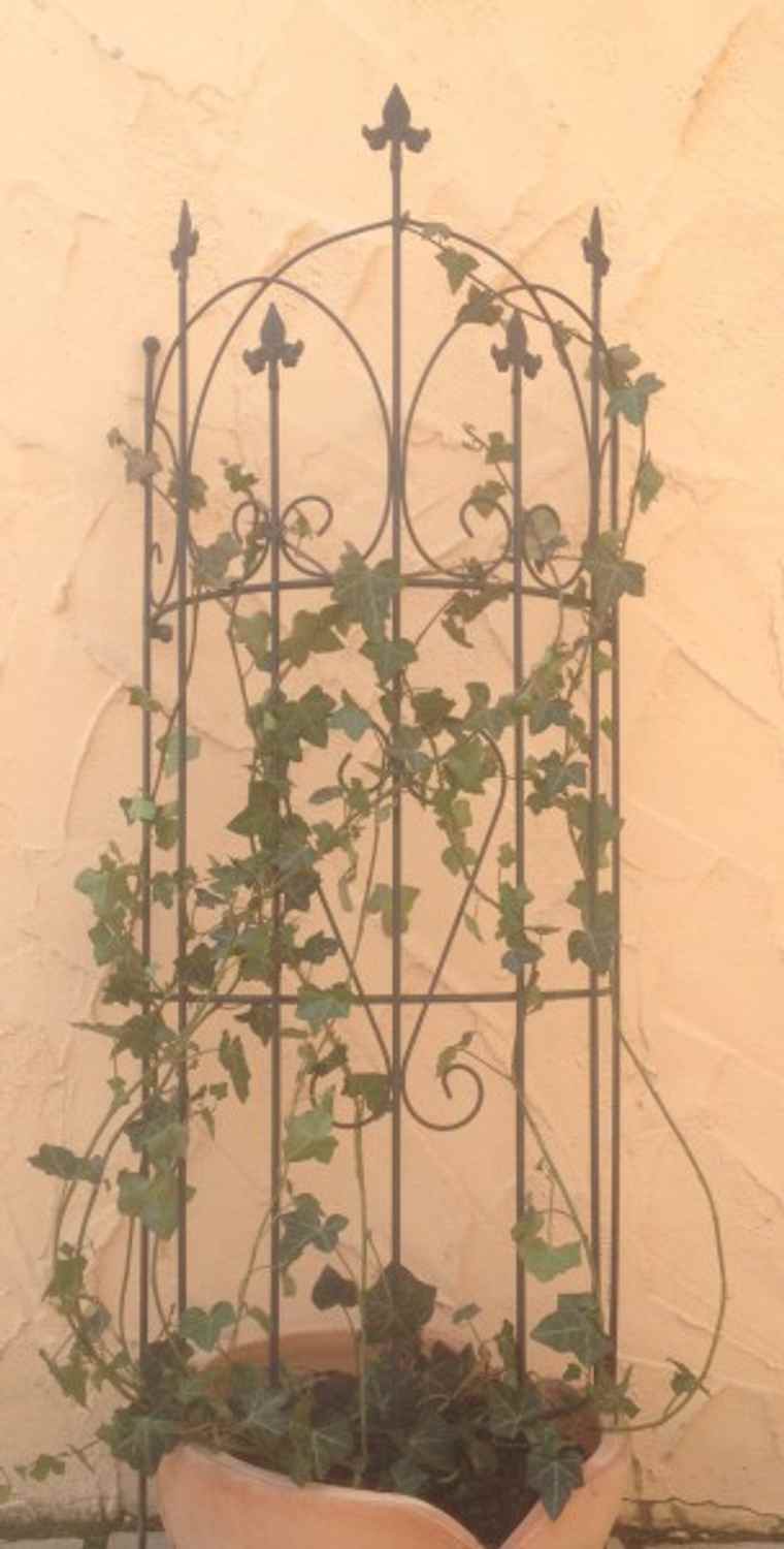 Rankgitter Spalier Rankhilfe Staudenhalter Lucca-L f. Clematis schwarz 167cm Rankgitter Spalier Rankhilfe Staudenhalter Lucca-L f. Clematis schwarz 167cm