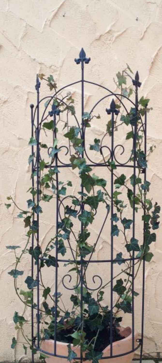 Rankgitter Spalier Rankhilfe Staudenhalter Lucca-L f. Clematis schwarz 167cm Rankgitter Spalier Rankhilfe Staudenhalter Lucca-L f. Clematis schwarz 167cm