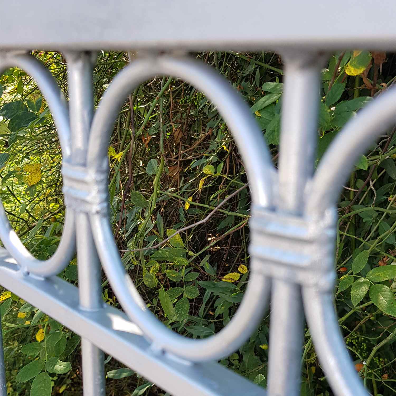 Metallzaun Schmiedeeisen Gartenzaun Zaun Zäune Anello-Z100/200 Feuer verzinkt Metallzaun Schmiedeeisen Gartenzaun Zaun Zäune Anello-Z100/200 Feuer verzinkt