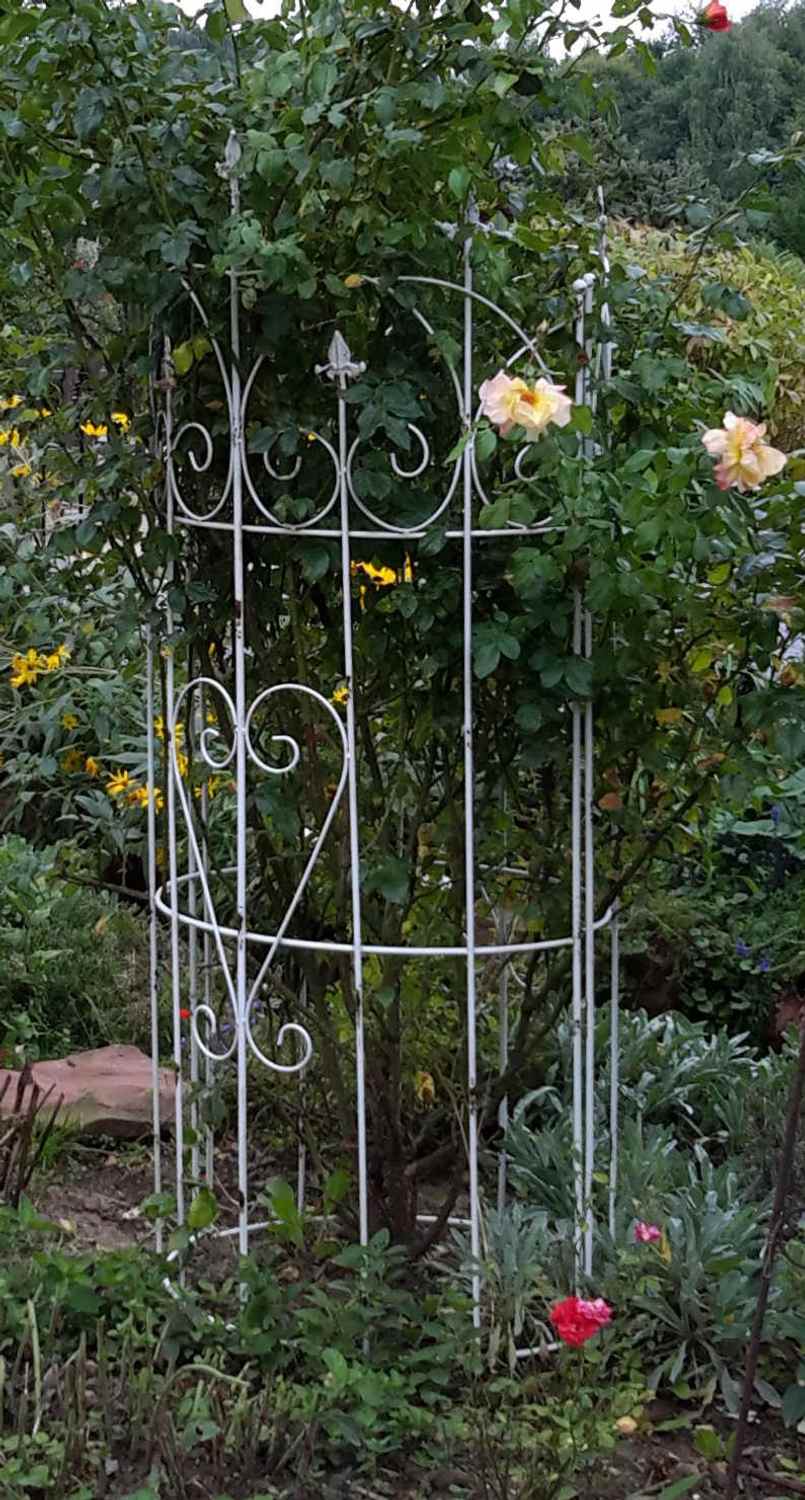 Spalier Rankhilfe Staudenhalter Dahlie Serra-M Clematis shabby white 150cm Spalier Rankhilfe Staudenhalter Dahlie Serra-M Clematis shabby white 150cm