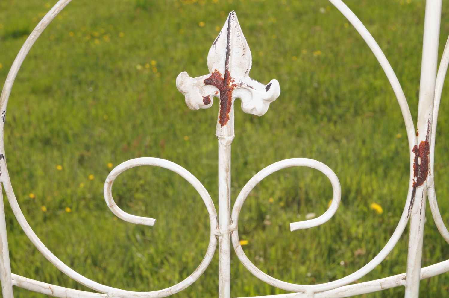 Rankgitter Spalier Rankhilfe Staudenhalter Lucca-M Dahlien shabby white 167 cm Rankgitter Spalier Rankhilfe Staudenhalter Lucca-M Dahlien shabby white 167 cm
