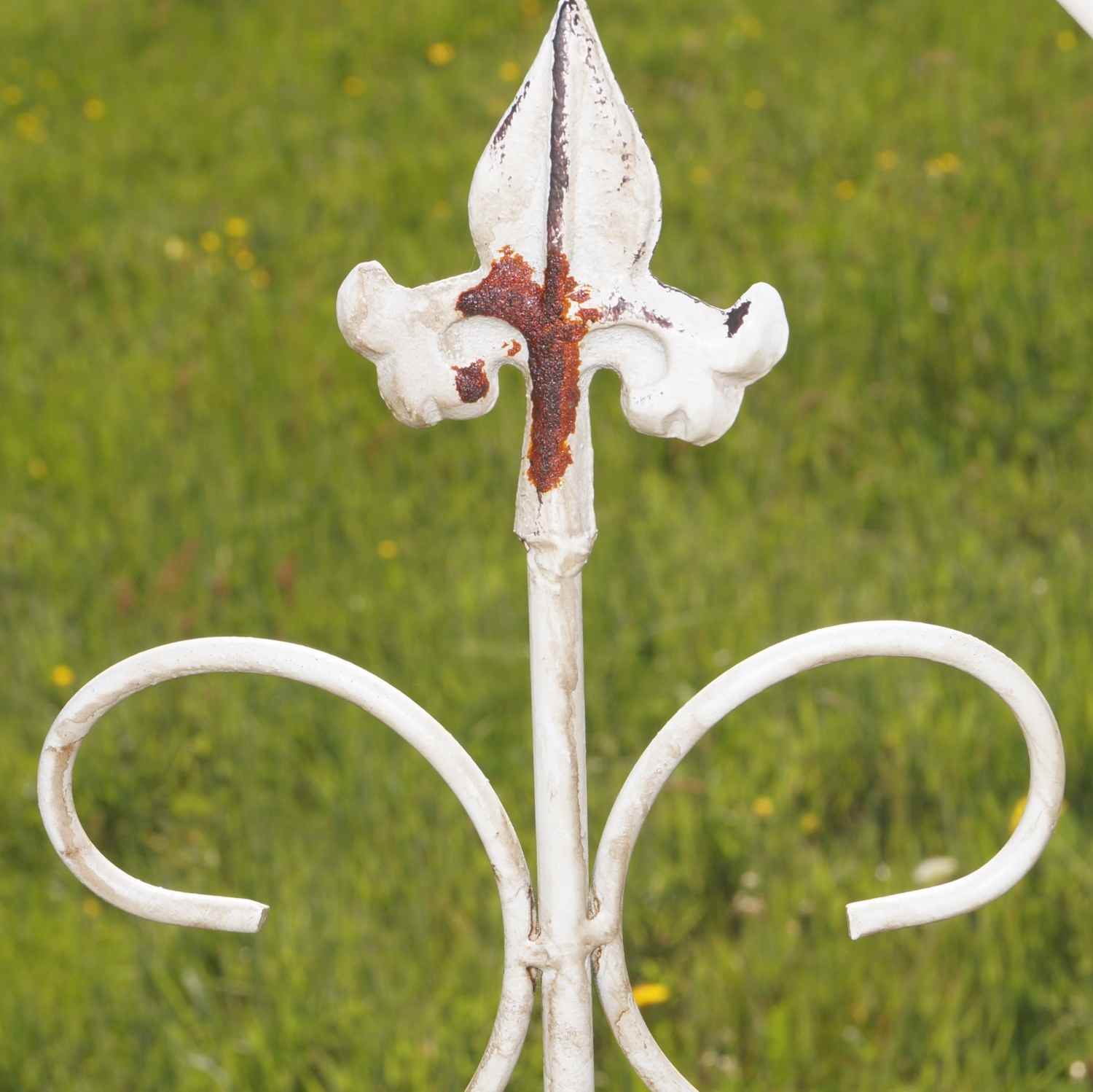 Rankgitter Spalier Rankhilfe Staudenhalter Lucca-M Dahlien shabby white 167 cm Rankgitter Spalier Rankhilfe Staudenhalter Lucca-M Dahlien shabby white 167 cm