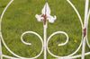 Lucca-SW-3.jpg