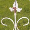 Lucca-SW-4.jpg
