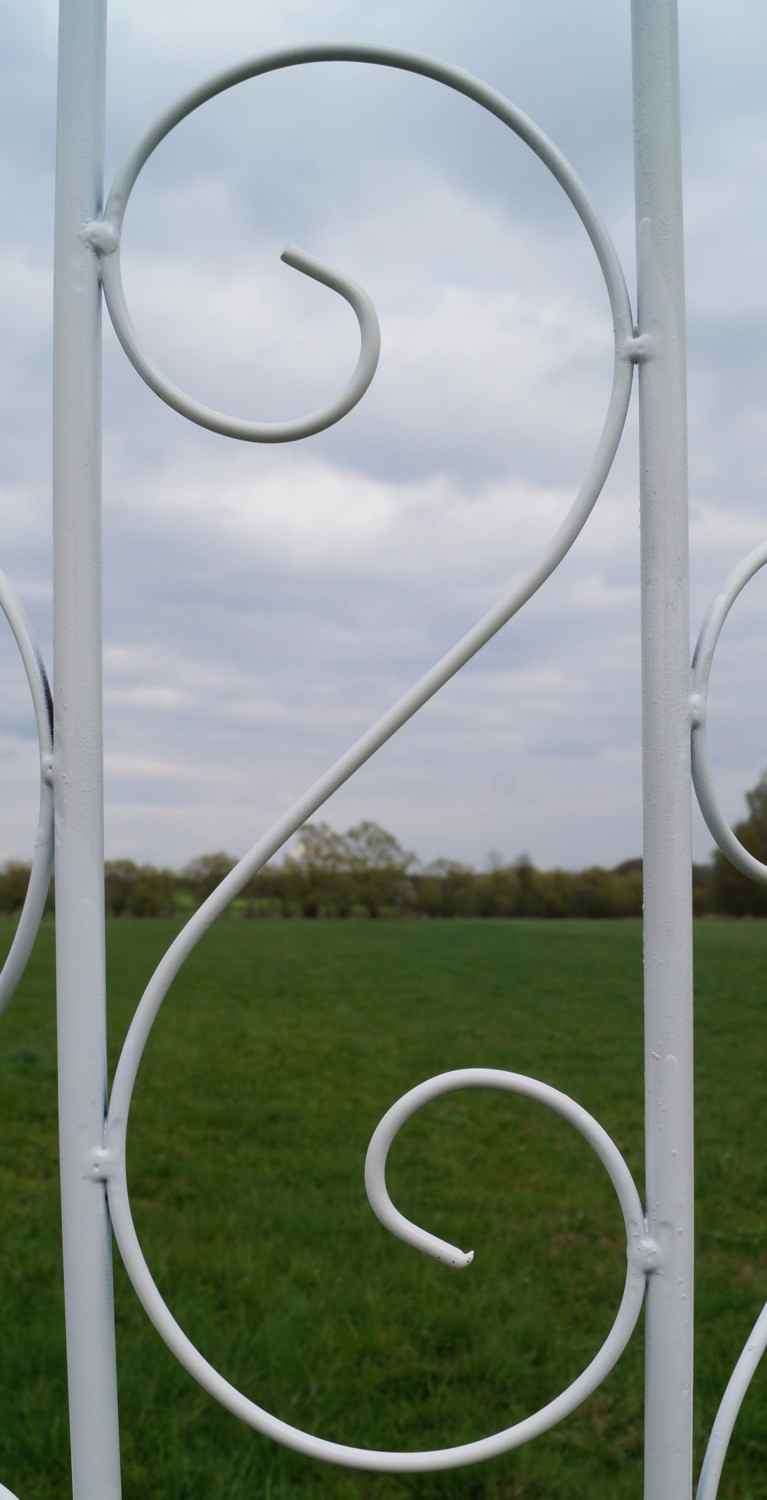 Rankgitter Spalier Rankhilfe Fallrohr halbrund Pisa Feuer Verzinkt weiss Rankgitter Spalier Rankhilfe Fallrohr halbrund Pisa Feuer Verzinkt weiss