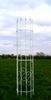 Pisa-Weiss-1.jpg