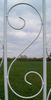 Pisa-Weiss-3.jpg