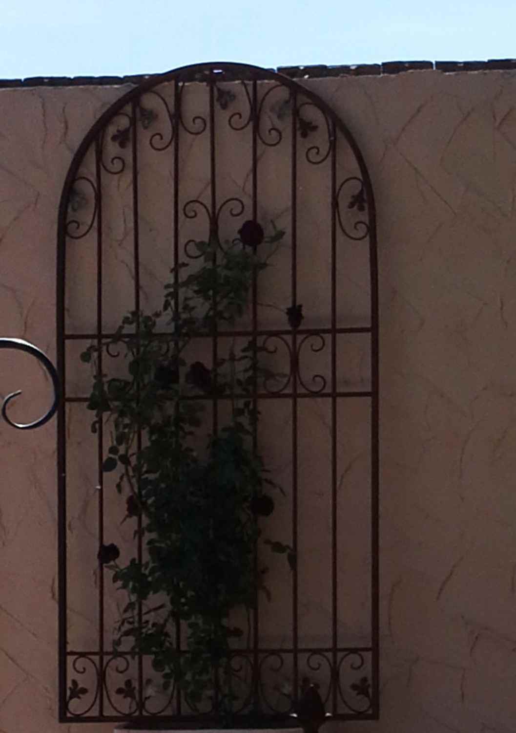 Metall Eisen Rundbogen Rankgitter Sichtschutz Spalier Monaco-RBRG-S Roh Rost sehr massiv und dekorativ ! Auch als Wandgitter ! Metall Eisen Rundbogen Rankgitter Sichtschutz Spalier Monaco-RBRG-S Roh Rost sehr massiv und dekorativ ! Auch als Wandgitter !