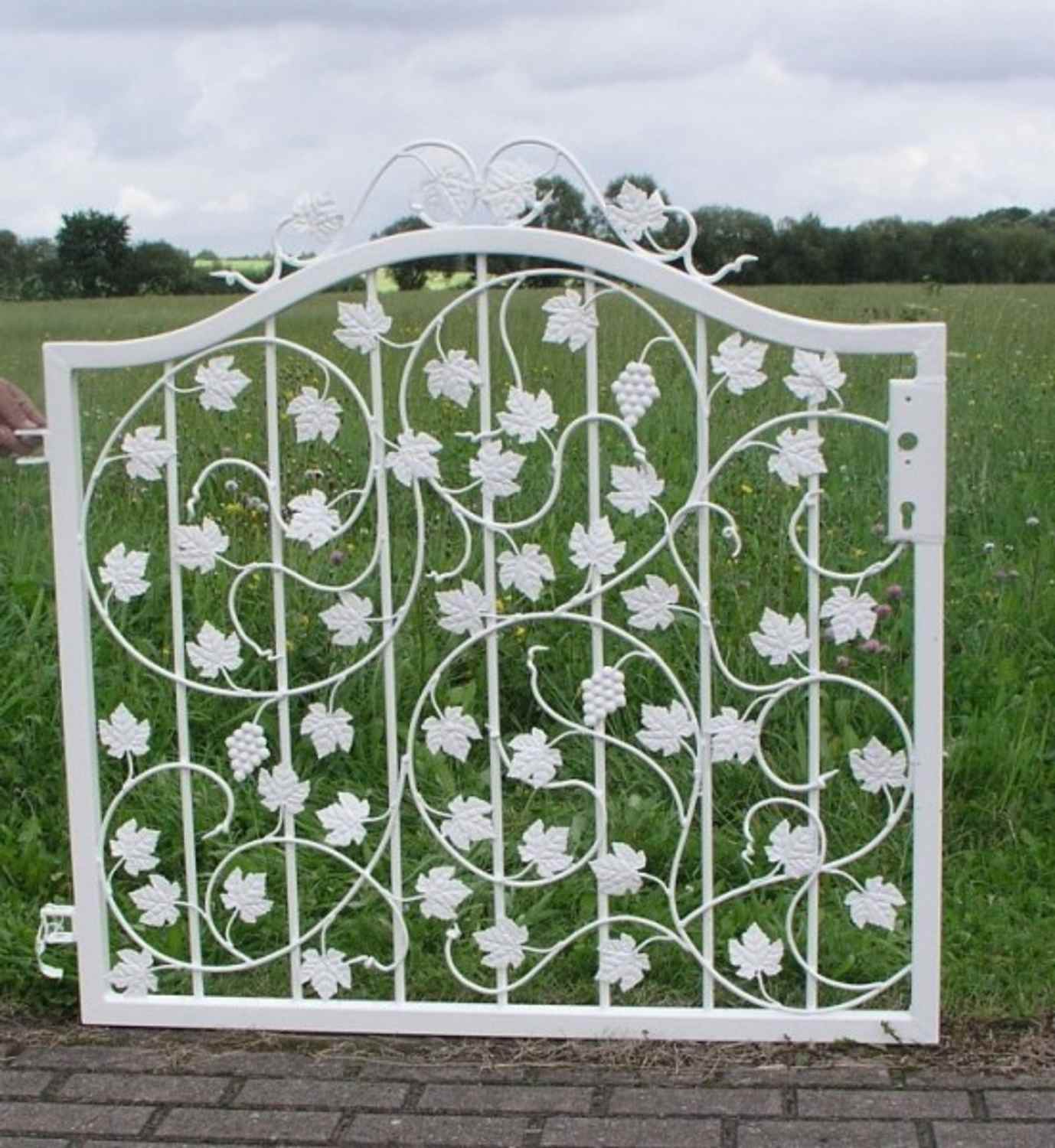 22-10.jpg Gartentür Tür Tor Pforte Bachus-GT100/100SR Verzinkt 100 cm 1m Weiss
