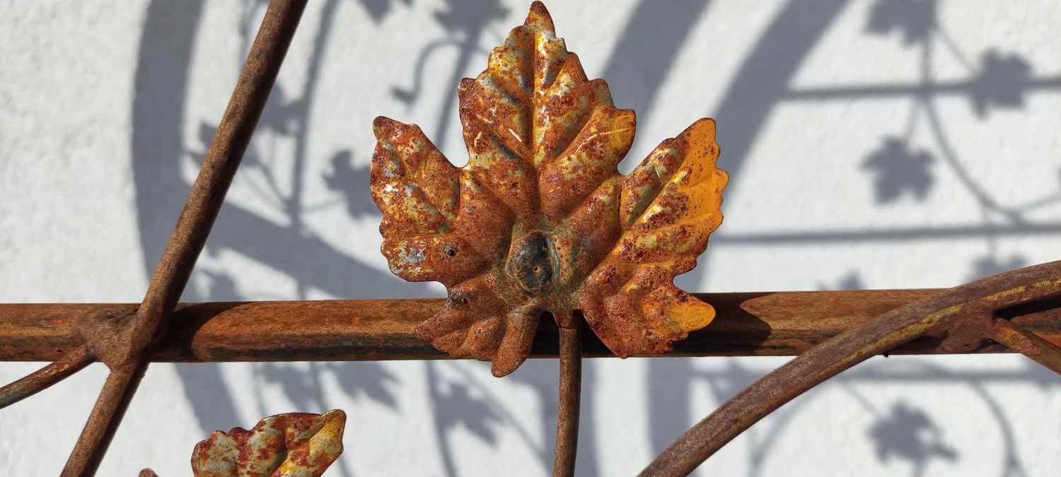 Gartentür Pforte Rosenbogen mit Tür Bachus-GT100-RBS 100/100S Roh Rost Gartentür Pforte Rosenbogen mit Tür Bachus-GT100-RBS 100/100S Roh Rost
