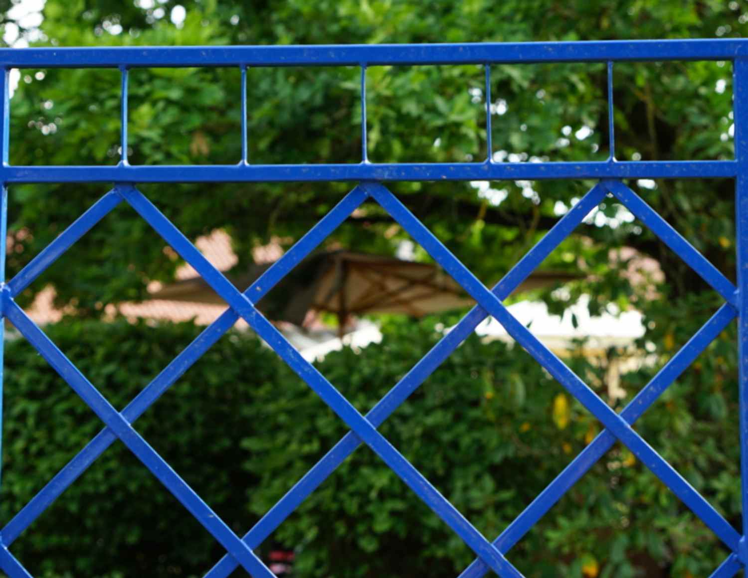 Metall Eisen Spalier Rankgitter Rankhilfe Wandgitter Meran 100 200 Verzinkt Blau Metall Eisen Spalier Rankgitter Rankhilfe Wandgitter Meran 100 200 Verzinkt Blau