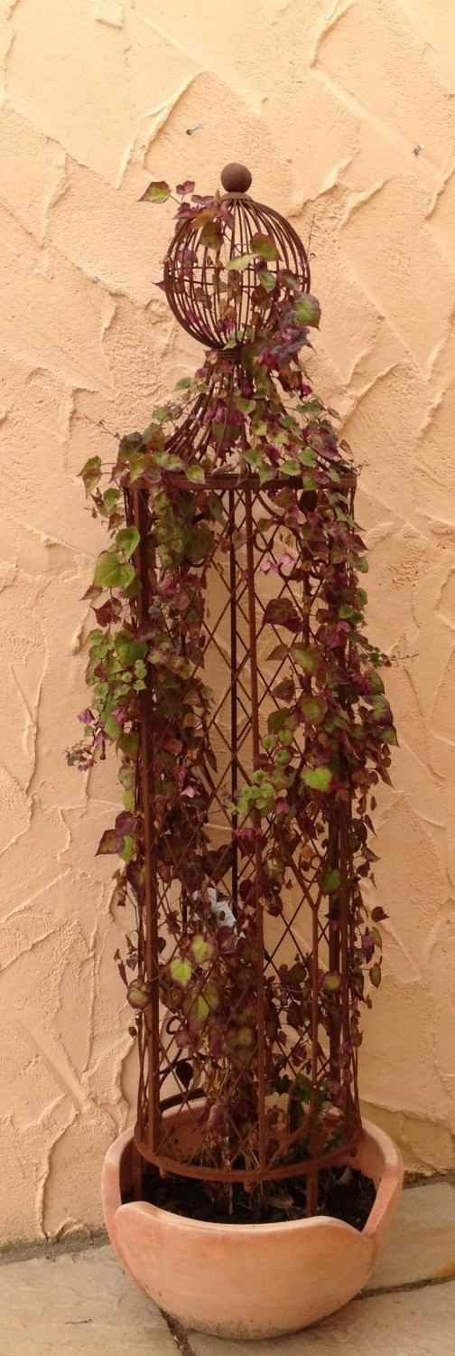 Rankstab Rankhilfe Rankgitter Rankgitter Garten Obelisk Wells XL ROST Clematis Rankstab Rankhilfe Rankgitter Rankgitter Garten Obelisk Wells XL ROST Clematis