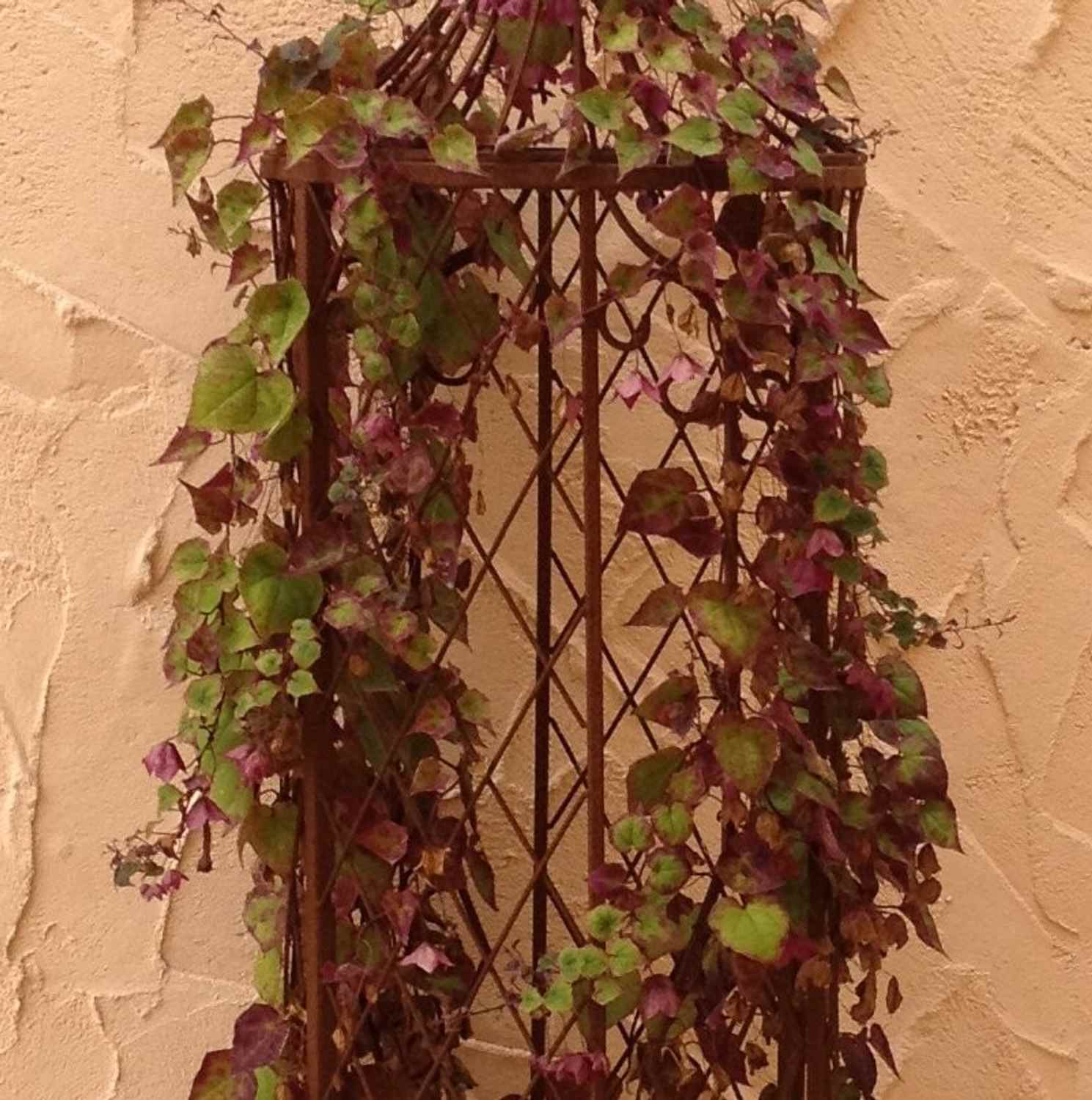 Rankstab Rankhilfe Rankgitter Rankgitter Garten Obelisk Wells XL ROST Clematis Rankstab Rankhilfe Rankgitter Rankgitter Garten Obelisk Wells XL ROST Clematis