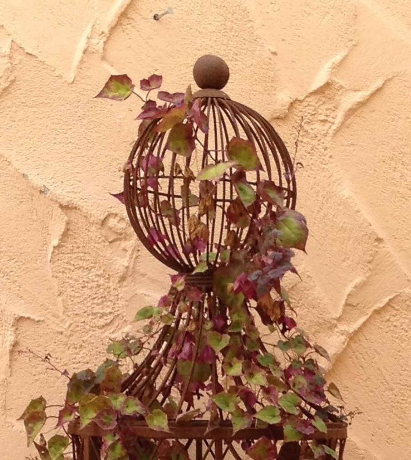 Rankstab Rankhilfe Rankgitter Rankgitter Garten Obelisk Wells XL ROST Clematis Rankstab Rankhilfe Rankgitter Rankgitter Garten Obelisk Wells XL ROST Clematis