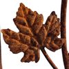 Bachus-Rosenbogentuer-250-5.jpg