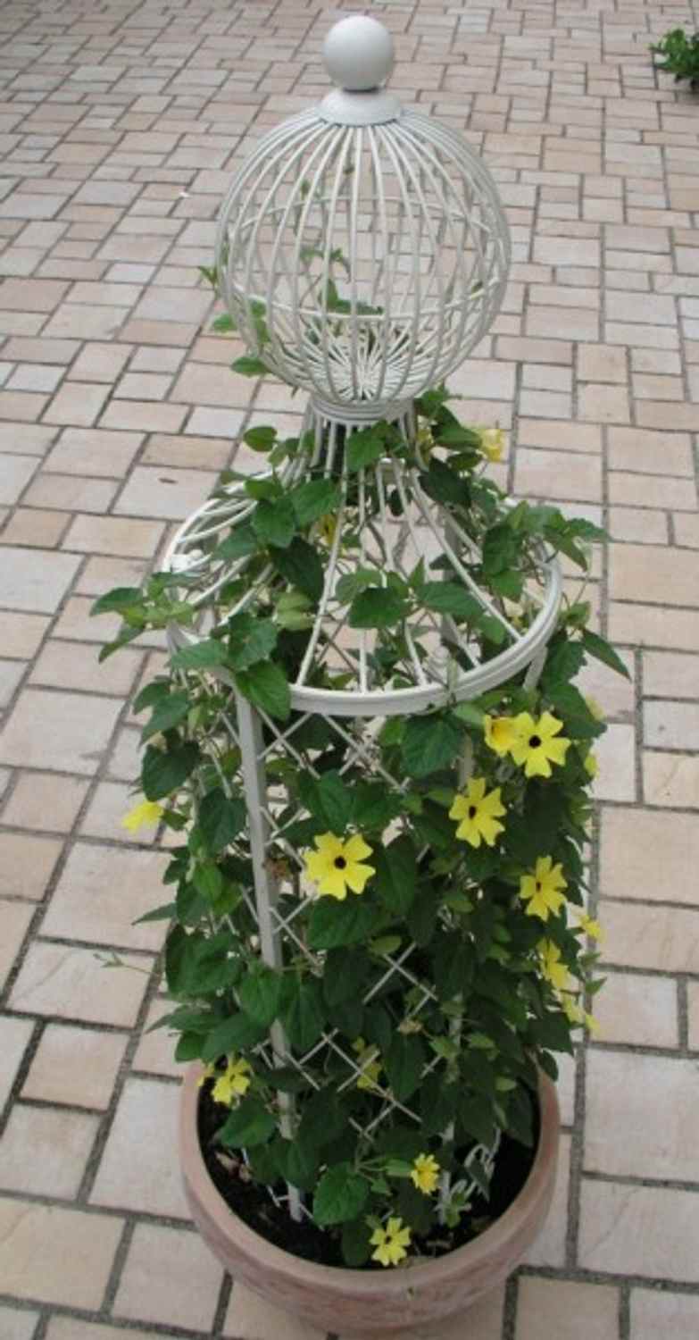 Rankstab Rankhilfe Pfosten Obelisk Wells 135cm Weiß Rankstab Rankhilfe Pfosten Obelisk Wells 135cm Weiß