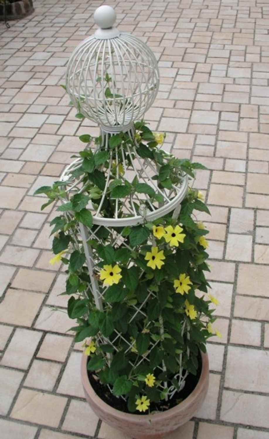 Rankstab Rankhilfe Pfosten Obelisk Wells 135cm Weiß Rankstab Rankhilfe Pfosten Obelisk Wells 135cm Weiß