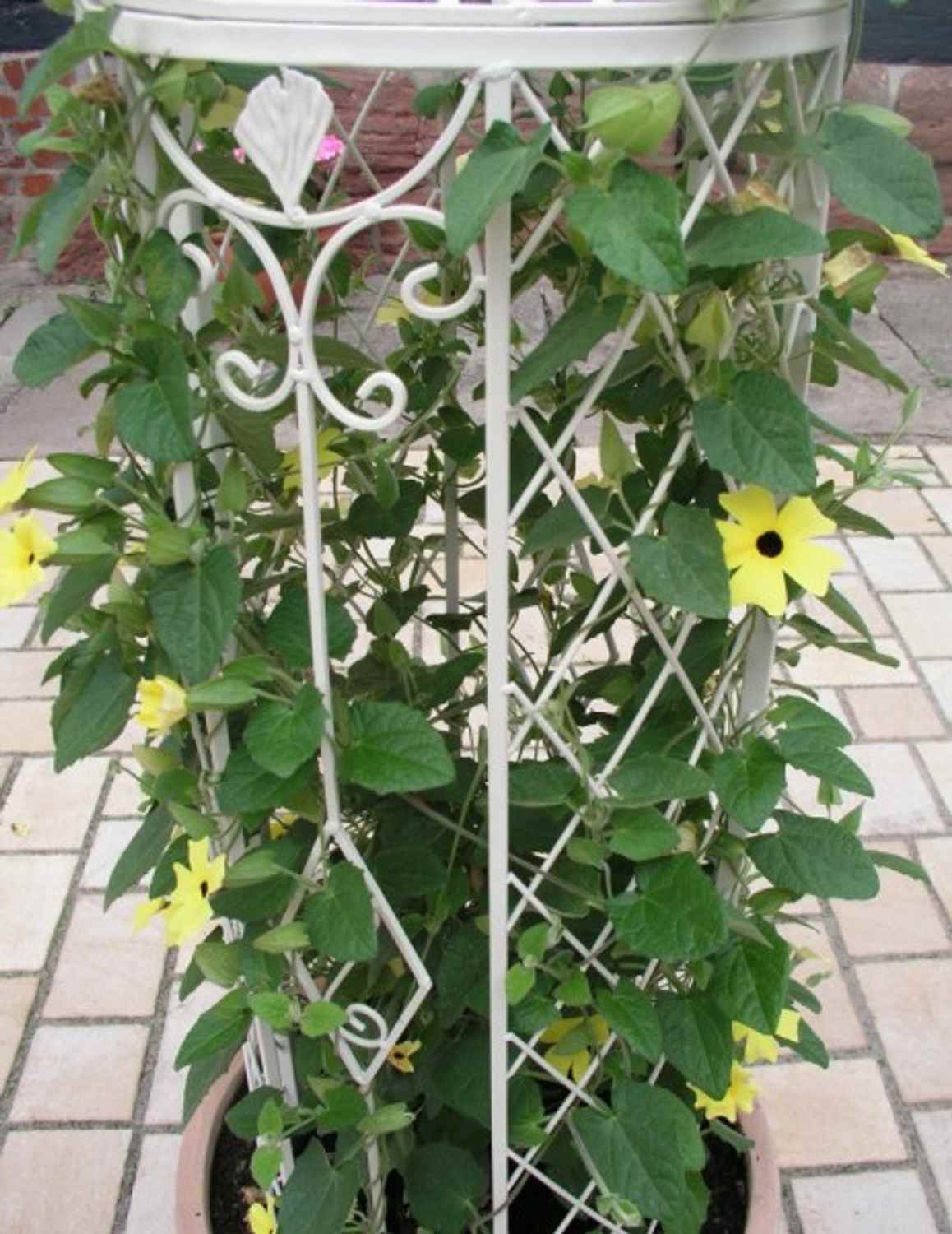 Rankstab Rankhilfe Pfosten Obelisk Wells 135cm Weiß Rankstab Rankhilfe Pfosten Obelisk Wells 135cm Weiß
