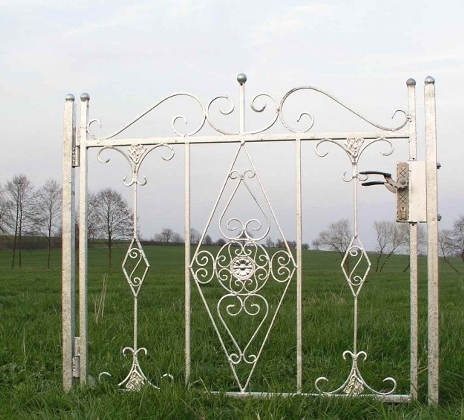 Traumhafte Gartentür Gartenpforte Zauntür Vitoria-GT100/105S Verzinkt P.-Set 40 Traumhafte Gartentür Gartenpforte Zauntür Vitoria-GT100/105S Feuer Verzinkt P.-Set 40 100 cm 1m