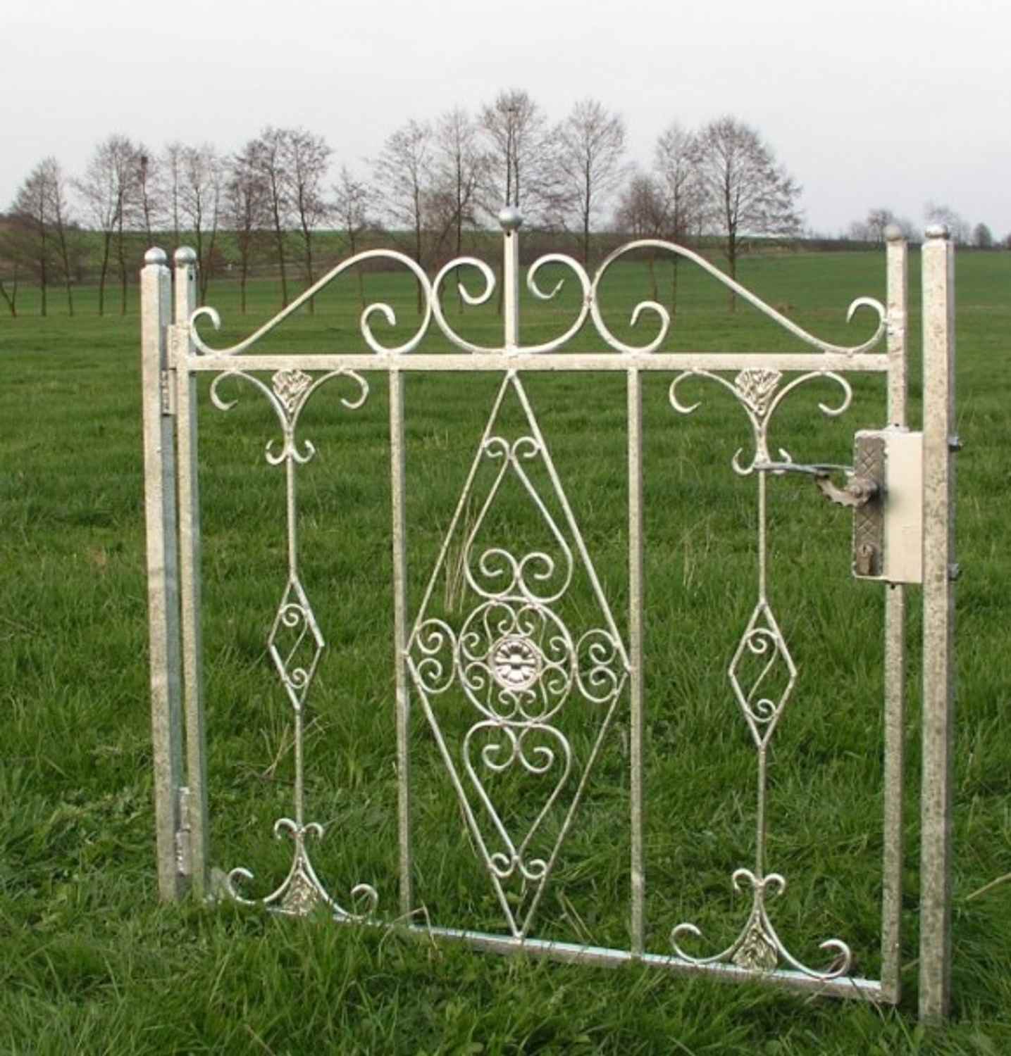 Traumhafte Gartentür Gartenpforte Zauntür Vitoria-GT100/105S Verzinkt P.-Set 40 Traumhafte Gartentür Gartenpforte Zauntür Vitoria-GT100/105S Feuer Verzinkt P.-Set 40 100 cm 1m