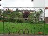 453-Lisbao-fence-garden-deco--8-.jpg