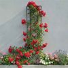 Rankgitter Meran an der Hauswand mit Kletterrosen Rankgitter Meran an der Hauswand mit Kletterrosen