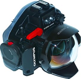 SAGA Dive Dome 100mm Olympus 8mm f1.8 Fisheye PT 4 Zoll CFWA Unterwasserfotografie Domport