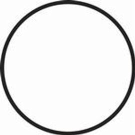 Fantasea Main Black O-Ring for FP Housing