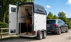 Centri ippici e sport equestri