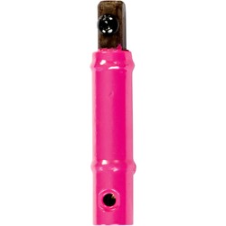 magenta