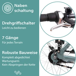 814272-Tretwerk-Mystic-E-Bike-28-Zoll-Pedelec-170-190-cm-Herrenrad-Trekking-Elektrofahrrad-mit-Nabenschaltung-City-E-Fahrrad-Mystic-Profit-MGRGZeichenflaeche-5.png