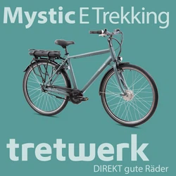 814272-Tretwerk-Mystic-E-Bike-28-Zoll-Pedelec-170-190-cm-Herrenrad-Trekking-Elektrofahrrad-mit-Nabenschaltung-City-E-Fahrrad-Mystic-Profit-MGRGZeichenflaeche-7.png
