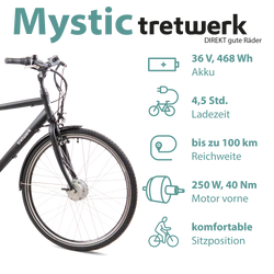814272-Tretwerk-Mystic-E-Bike-28-Zoll-Pedelec-170-190-cm-Herrenrad-Trekking-Elektrofahrrad-mit-Nabenschaltung-City-E-Fahrrad-Mystic-Profit-schwarzZeichenflaeche-3_1.png 814272-Tretwerk-Mystic-E-Bike-28-Zoll-Pedelec-170-190-cm-Herrenrad-Trekking-Elektrofahrrad-mit-Nabenschaltung-City-E-Fahrrad-Mystic-Profit-schwarzZeichenflaeche-3_1.png