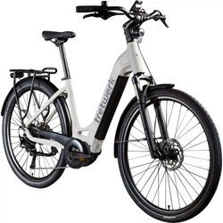 814280-Tretwerk-Amber-E-Bike-Damen-28-Zoll-Elektrofahrrad-155-185-cm-Hollandrad-Tiefeinsteiger-mit-9-Gang-Schaltung-Amber-TW0708020-01.jpg