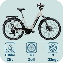 814280-Tretwerk-Amber-E-Bike-Damen-28-Zoll-Elektrofahrrad-155-185-cm-Hollandrad-Tiefeinsteiger-mit-9-Gang-Schaltung-Amber-TW0708020-02.png