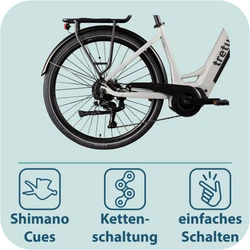 814280-Tretwerk-Amber-E-Bike-Damen-28-Zoll-Elektrofahrrad-155-185-cm-Hollandrad-Tiefeinsteiger-mit-9-Gang-Schaltung-Amber-TW0708020-06.png