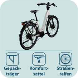 814280-Tretwerk-Amber-E-Bike-Damen-28-Zoll-Elektrofahrrad-155-185-cm-Hollandrad-Tiefeinsteiger-mit-9-Gang-Schaltung-Amber-TW0708020-08.png