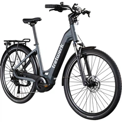 814280-Tretwerk-Amber-E-Bike-Damen-28-Zoll-Elektrofahrrad-155-185-cm-Hollandrad-Tiefeinsteiger-mit-9-Gang-Schaltung-Amber-TW0708022--1-.jpg