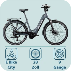 814280-Tretwerk-Amber-E-Bike-Damen-28-Zoll-Elektrofahrrad-155-185-cm-Hollandrad-Tiefeinsteiger-mit-9-Gang-Schaltung-Amber-TW0708022-02.png