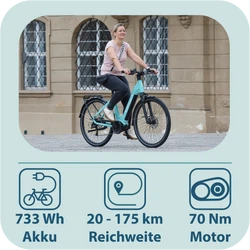 814280-Tretwerk-Amber-E-Bike-Damen-28-Zoll-Elektrofahrrad-155-185-cm-Hollandrad-Tiefeinsteiger-mit-9-Gang-Schaltung-Amber-TW0708022-03.png