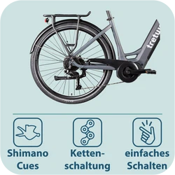 814280-Tretwerk-Amber-E-Bike-Damen-28-Zoll-Elektrofahrrad-155-185-cm-Hollandrad-Tiefeinsteiger-mit-9-Gang-Schaltung-Amber-TW0708022-06.png