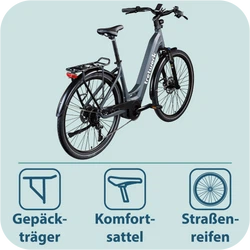 814280-Tretwerk-Amber-E-Bike-Damen-28-Zoll-Elektrofahrrad-155-185-cm-Hollandrad-Tiefeinsteiger-mit-9-Gang-Schaltung-Amber-TW0708022-08.png