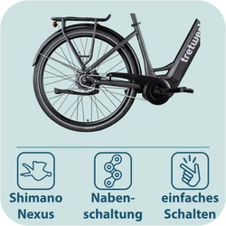814281-Tretwerk-Amber-Nexus-E-Bike-Damen-28-Zoll-Elektrofahrrad-155-185-cm-Hollandrad-Tiefeinsteiger-mit-7-Gang-Nabenschaltung-Amber-Nexus-TW0708012-06.png