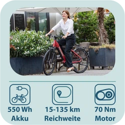 814281-Tretwerk-Amber-Nexus-E-Bike-Damen-28-Zoll-Elektrofahrrad-155-185-cm-Hollandrad-Tiefeinsteiger-mit-8-Gang-Nabenschaltung-Amber-Nexus-TW0708010-03.png