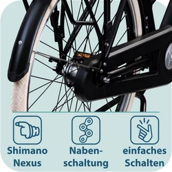 814779-Tretwerk-Aurora-E-Bike-28-Zoll-Pedelec-Damen-Herren-155-185-cm-Elektrofahrrad-522-Wh-E-Fahrrad-Damenfahrrad-7-Gang-Aurora-TW0709001-06.png