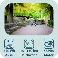 815097-Tretwerk-Onyx-E-Bike-Trekkingrad-ab-165-cm-Elektrofahrrad-550-Wh-Pedelec-Trekking-Rad-Fahrrad-mit-8-Gang-und-Beleuchtung-StVZO-Onyx-03-TW0708006.png 815097-Tretwerk-Onyx-E-Bike-Trekkingrad-ab-165-cm-Elektrofahrrad-550-Wh-Pedelec-Trekking-Rad-Fahrrad-mit-8-Gang-und-Beleuchtung-StVZO-Onyx-03-TW0708006.png