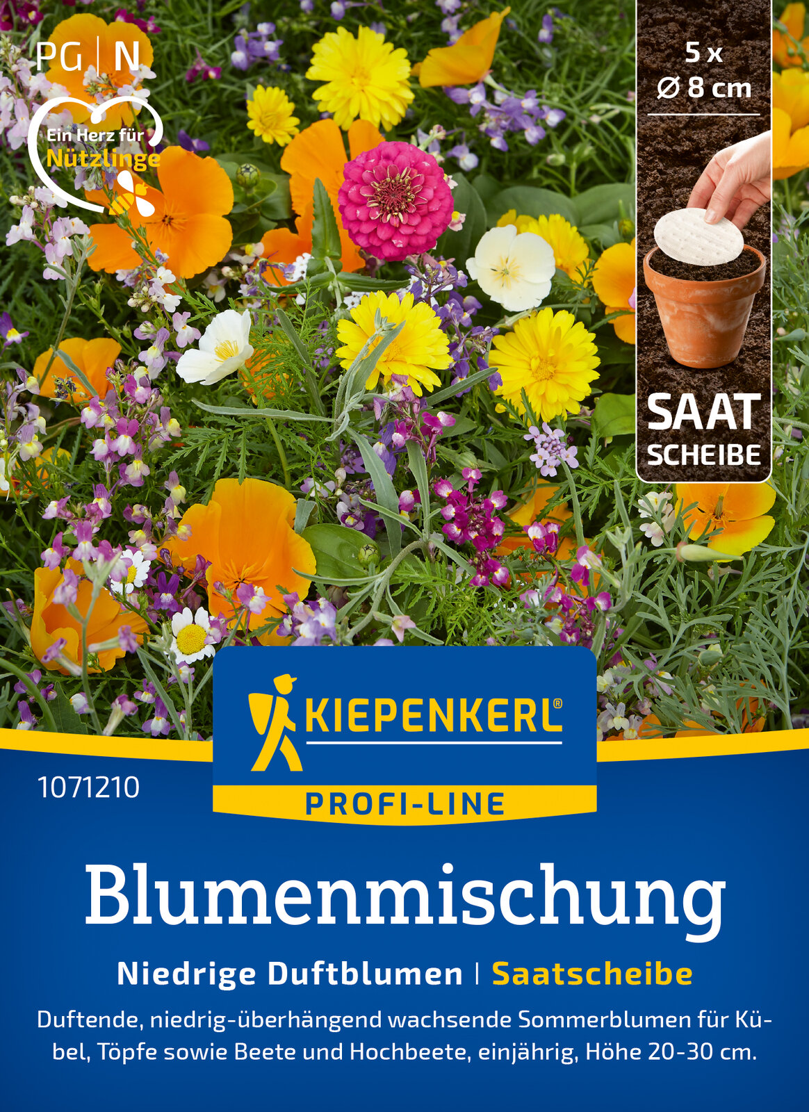 duftstäbe rituals Luxuriöse Duftstäbchen Online Kaufen 170 Garten: Sukkulenten-Ideen | main image 1